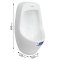 Blue diamond, Wall hung Urinal, model FH5142