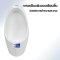 Blue diamond, Wall hung Urinal, model FH5143