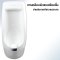 Blue diamond, Floor standing urinal, model FH588