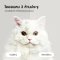 HOMERUNPET Pet Dryer Room รุ่น PD60 ตู้เป่าขนสัตว์เลี้ยง (เวอร์ชั่นไทย)