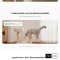 Xiaomi Smart Camera C201 กล้องวงจรปิดภายในความละเอียด 1080P ดูแลและปกป้องทุกซอกทุกมุมในบ้านของคุณ รุ่น C201