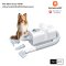 homerunpet Pet Blow Dryer PD10 เครื่องเป่าขนสัตว์เลี้ยงสามารถใช้ได้กับทั้งสุนัขและแมว รุ่น PD10