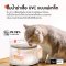 HomeRunPet Pet Fountain UVC Wireless Pump CF20 น้ำพุสัตว์เลี้ยง UVCถังเก็บน้ำขนาด 2 ลิตร รุ่น CF20