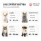 HOMERUNPET Pet Dryer Room รุ่น PD60 ตู้เป่าขนสัตว์เลี้ยง (เวอร์ชั่นไทย)