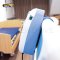 ที่นอนลมป้องกันแผลกดทับ Apex Oasis รุ่นลอน (Alternating Pressure Mattress) รับประกัน 1 ปี