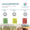เทอร์โมมิเตอร์อินฟราเรด GLOWY Infrared Ear Thermometer (ET-201)