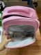 กระเป๋านักเรียน รุ่น Magic Rainbow สีชมพู (XL)