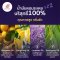 Chommpinn Deep Sleep Pillow Mist   ชมภิญญ์ สเปรย์ฉีดหมอน หลับดี