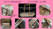 ตำหนิ-โคมไฟระย้า คริสตัล ทรงวงรี รุ่น XD98075-1200*400