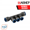 AIGNEP – SERIES 85350 REDUCTION MANIFOLD