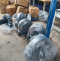 โบลเวอร์มอเตอร์ไฟฟ้าสำหรับงาน อุตสาหกรรม  PCF Ventilation Model : YYF6312-10022