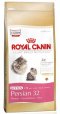 อาหารแมว รอยัล คานิน Royal Canin Kitten Persian 32 ขนาด 4 กิโลกรัม