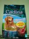 อาหารสุนัข Cadina Adult คาดิน่า สุนัขโตเม็ดใหญ่ ขนาด 15 กิโลกรัม