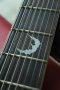 Schecter Damien Platinum 8 2020 (4.1kg)