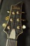 Schecter C-1 30th Anniversary (3.7kg)