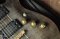 Schecter C-1 30th Anniversary (3.7kg)