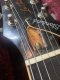 Gibson Lespaul Standard 1981 cherry burst (5.1kg)