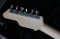 Jame Tyler Studio Elite Caribbean Shamear  Swamp Ash  2019 (3.3kg)
