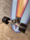 CARVER 31" BLUE HAZE SURFSKATE 2020 COMPLETE CX
