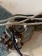 Fender Stratocaster 1974 Original Vintage White (3.6kg)