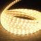 SHINING LED Strips 5M IP65 220V ไฟเส้น LED Strip Light 40W Warm white TOSHIBA LIGHTING