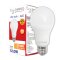 LED Bulb 12W 3000K