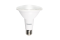 LED PAR30 10W