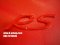 โลโก้ RS สีแดงลายเฉียง สำหรับรถทุกรุ่น