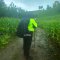 Rain Cover ผ้าคลุมกระเป๋าเป้ เป้เดินป่า กันฝน กันรอย