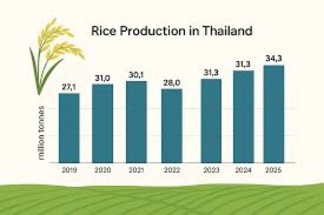 Thai Rice 2026 – Price War and the Path to Premium Markets