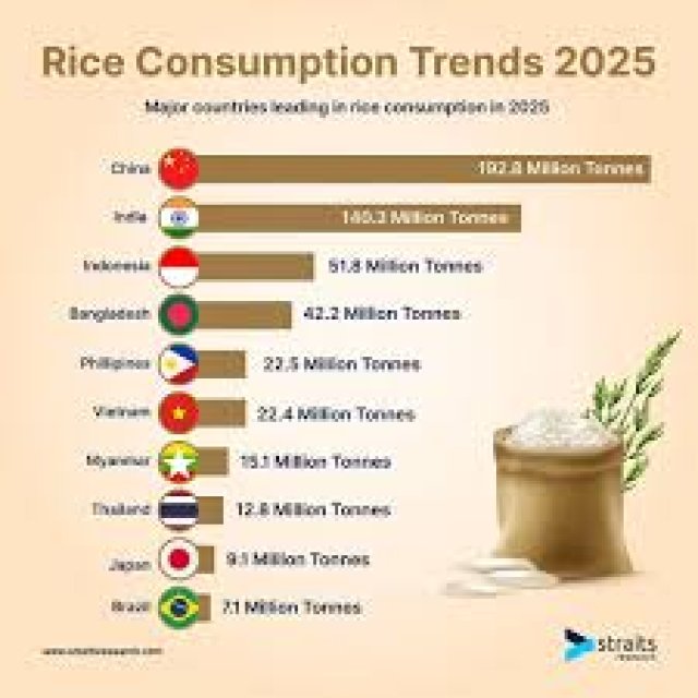 Thai Rice 2026 – Price War and the Path to Premium Markets