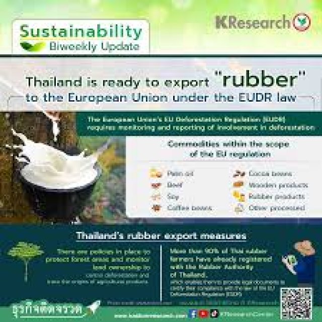Premium Thai TSR20 Rubber: Sustainability & Global Demand