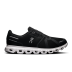 Black / White