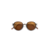 Wire Tortoise Bronze
