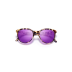 Tortoise Purple