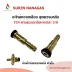 แกนหางปลา