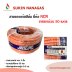 แบบยกม้วน