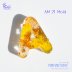 AM 21 A Mold