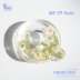AM 37 Q Mold