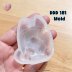 DDD 181 Mold