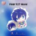 PAM 527
