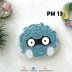 PM 13