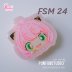 FSM 24