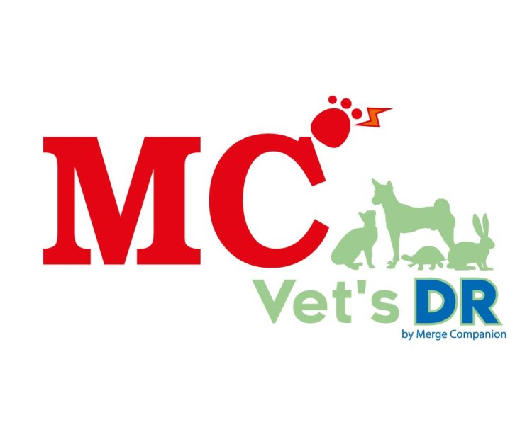 mergecompanionth.com