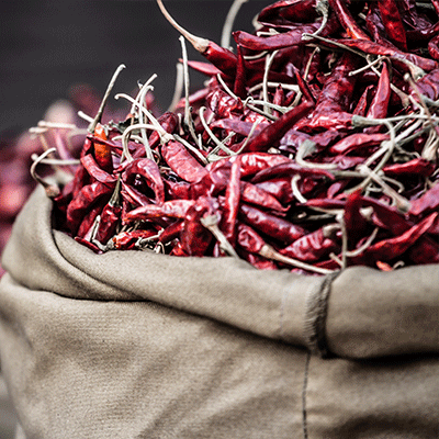 Morbi condimentum vel just at vehicula. Aenean congue. Morbi condimentum vel just at vehicula. Aenean congue.